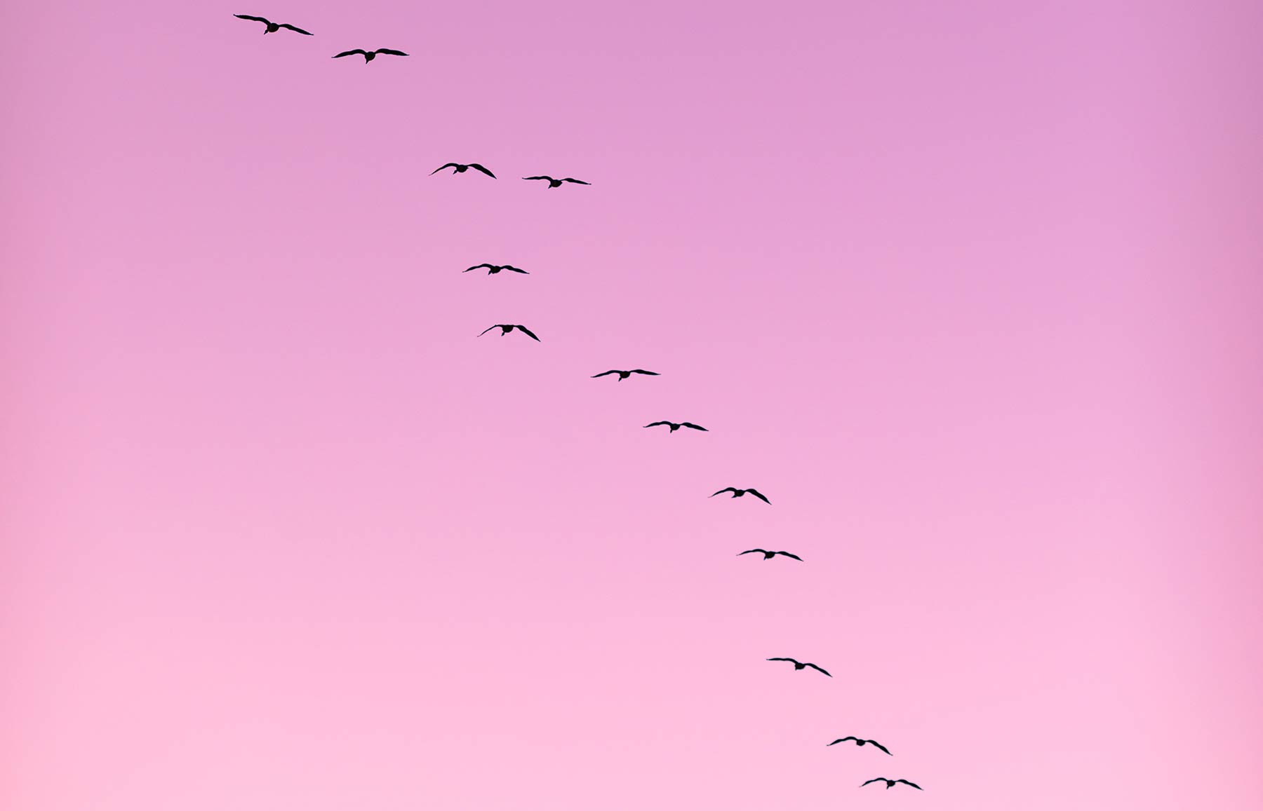 Memory problems in Parkinson’s disease